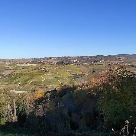 Bianconiglio * Monforte dʼAlba