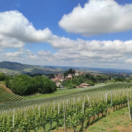 Bianconiglio Monforte dʼAlba