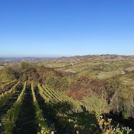 Bianconiglio Monforte dʼAlba