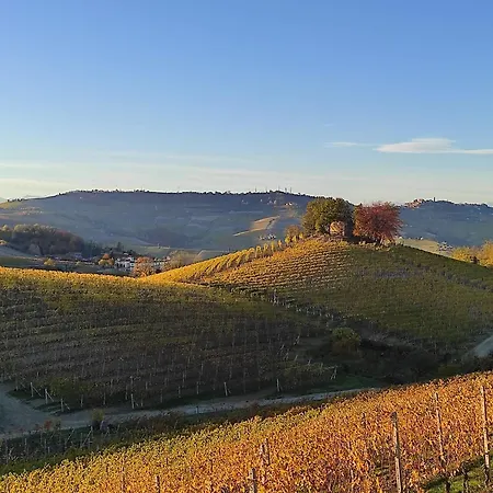 Bianconiglio Monforte dʼAlba