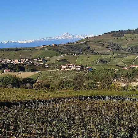 Lantgård Bianconiglio