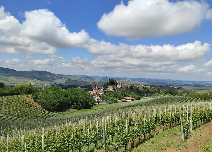 Bianconiglio Monforte dʼAlba