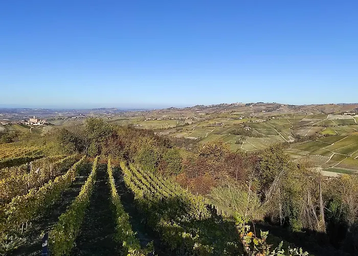 Bianconiglio Monforte dʼAlba