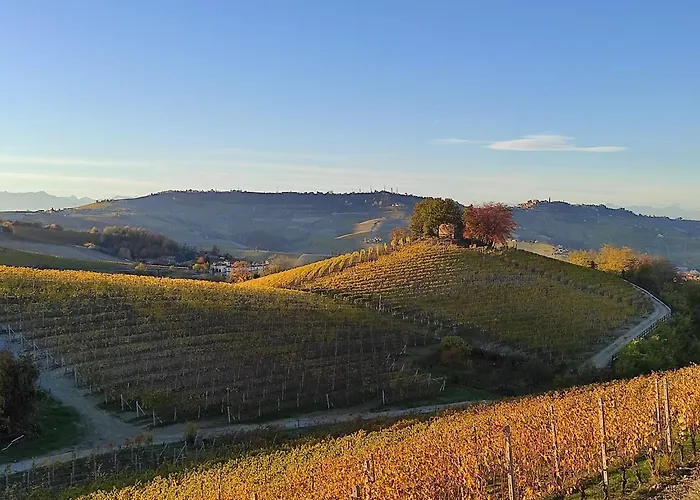 Bianconiglio Monforte dʼAlba